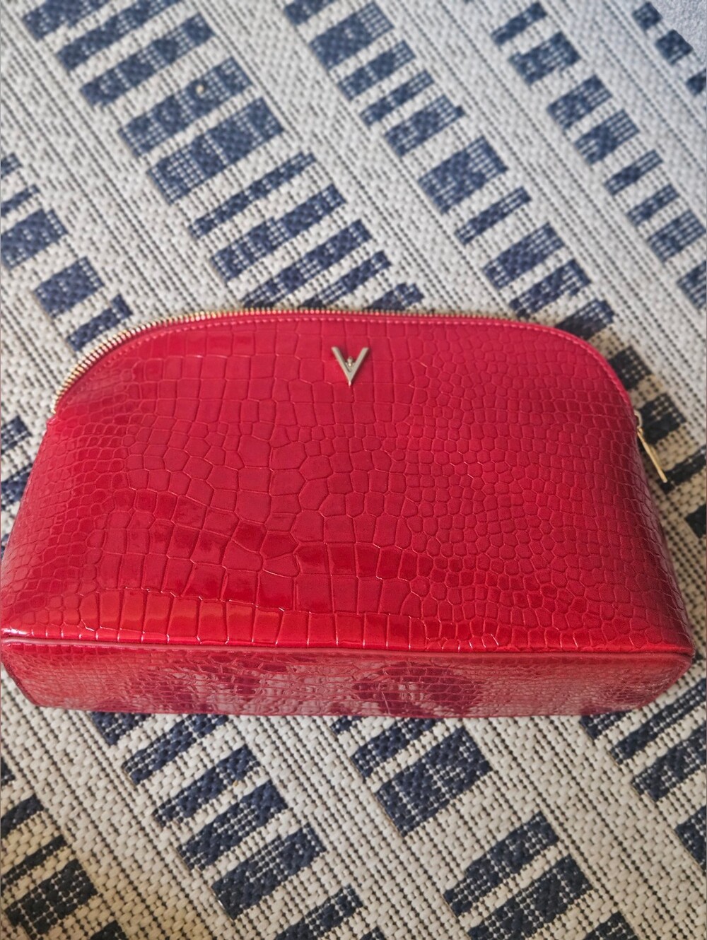 Euc Vanessa Williams Cosmetic Case